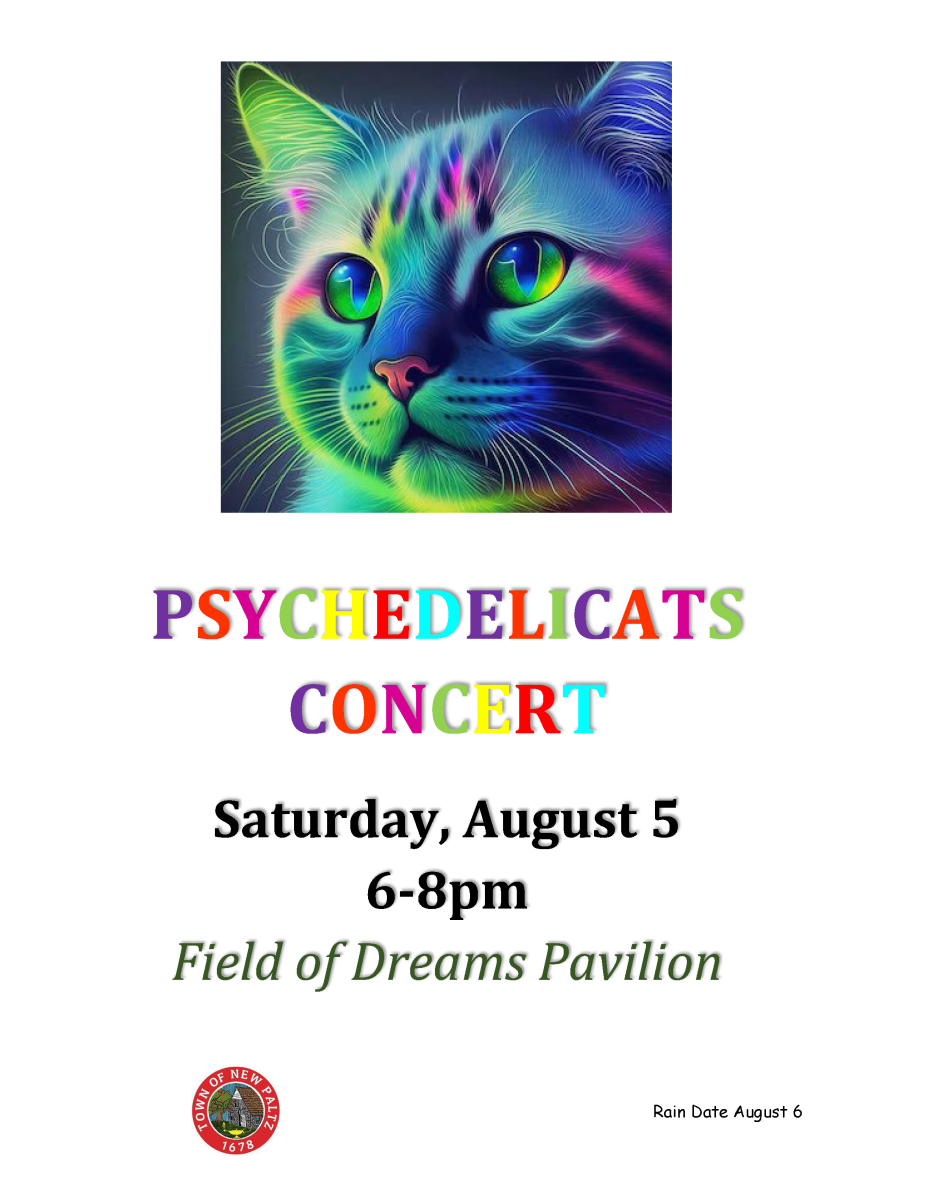 Psychedelic Cats 8.5.23