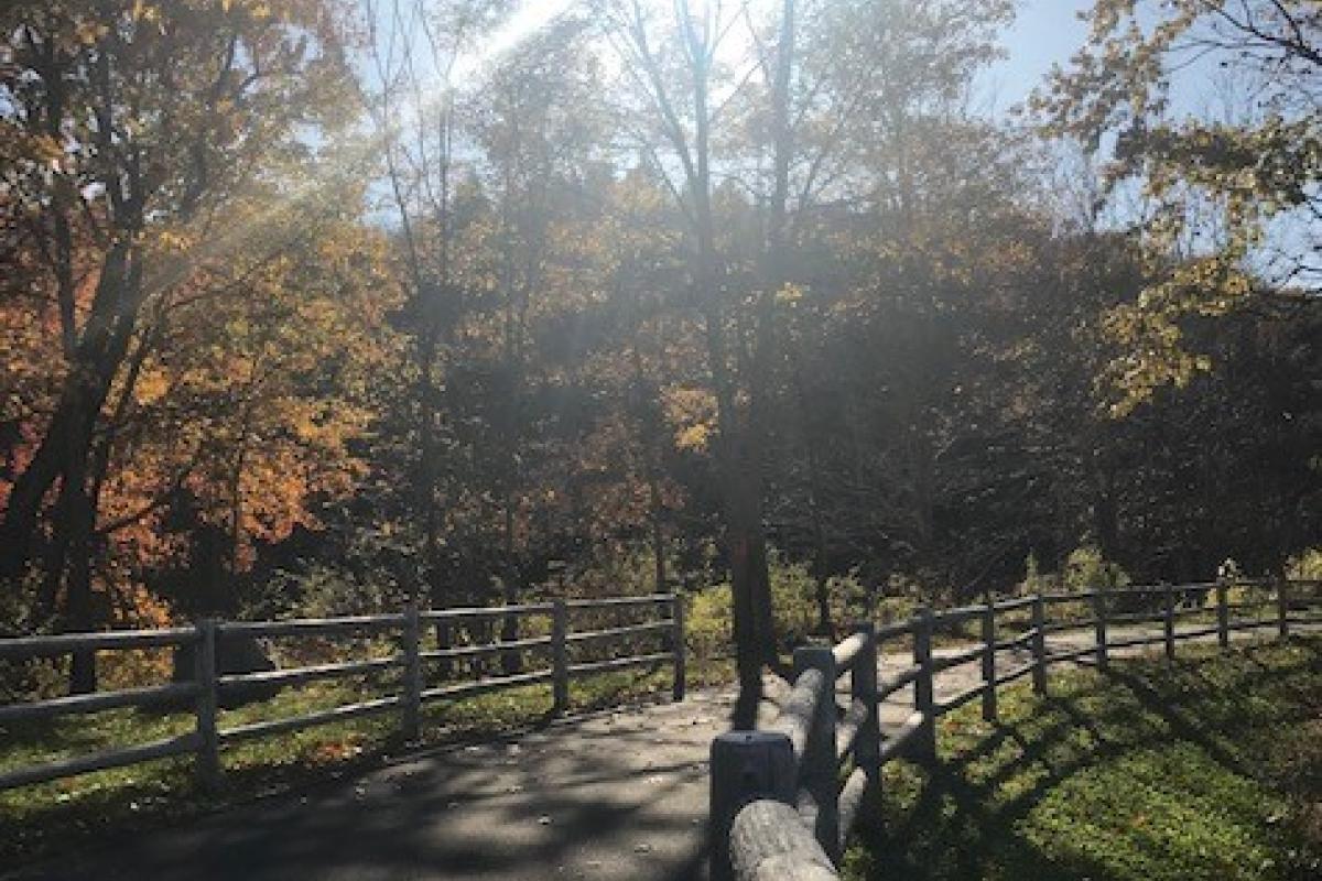 Rail trail along Route 299 by Melissa Moser