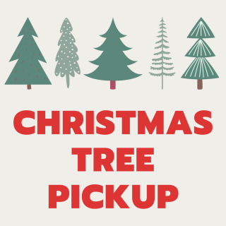 Christmas Tree Pick-up