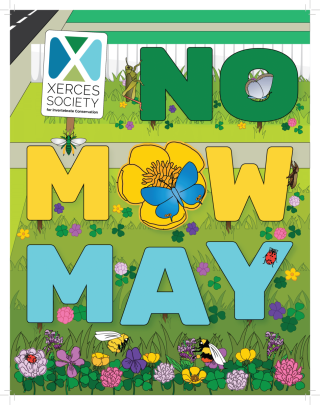 No Mow May Signs Available for Purchase