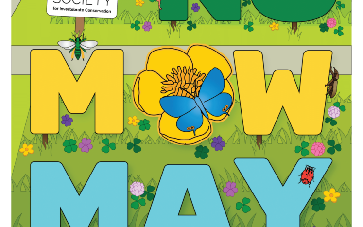 No Mow May Signs Available for Purchase